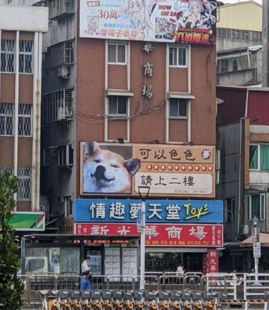 那么地址在哪里呢