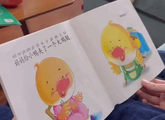 小鸡的妈妈怎么办?