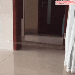 总有刁民想害朕