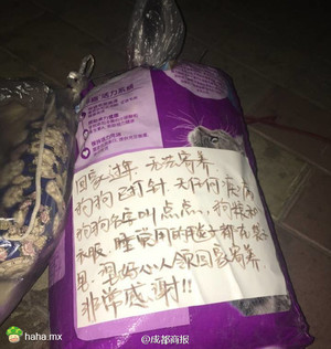 你们回家过年去了,它却没家了