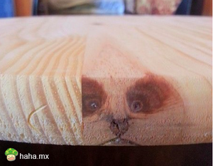 救命，我被桌子封印住了