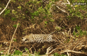 震惊的吃瓜群众！