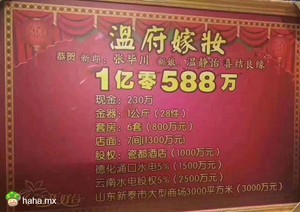 温老，您家还有女儿吗？