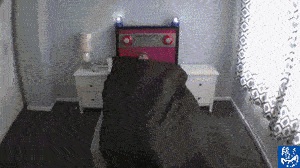 再也不怕赖床了