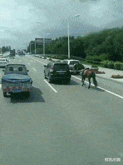 在外面，视野开阔