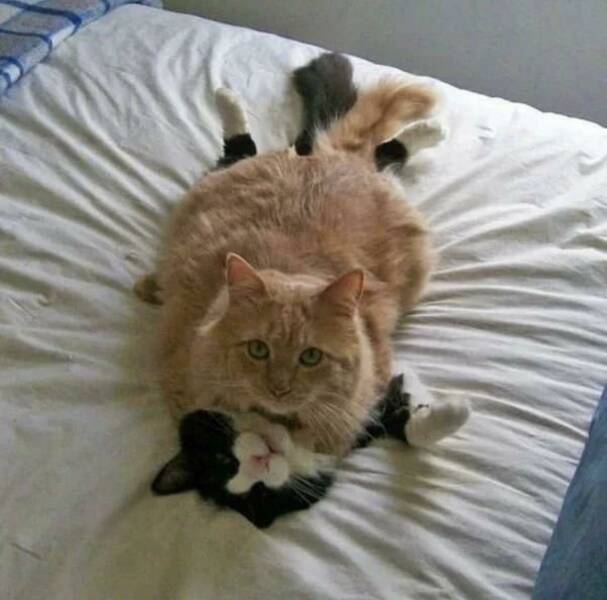 “不关你的事，你最好划走”