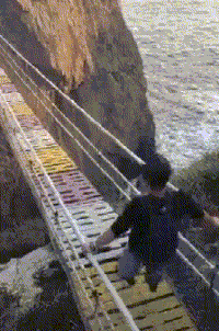 大哥，大风咋还把你的盖头吹跑了呢？