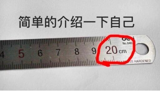 出现了:自欺欺人尺