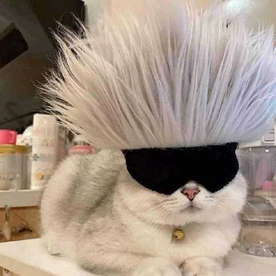 五条老师是你吗