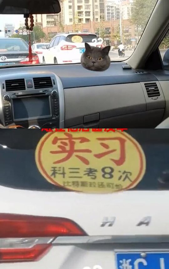 比特斯拉还可怕