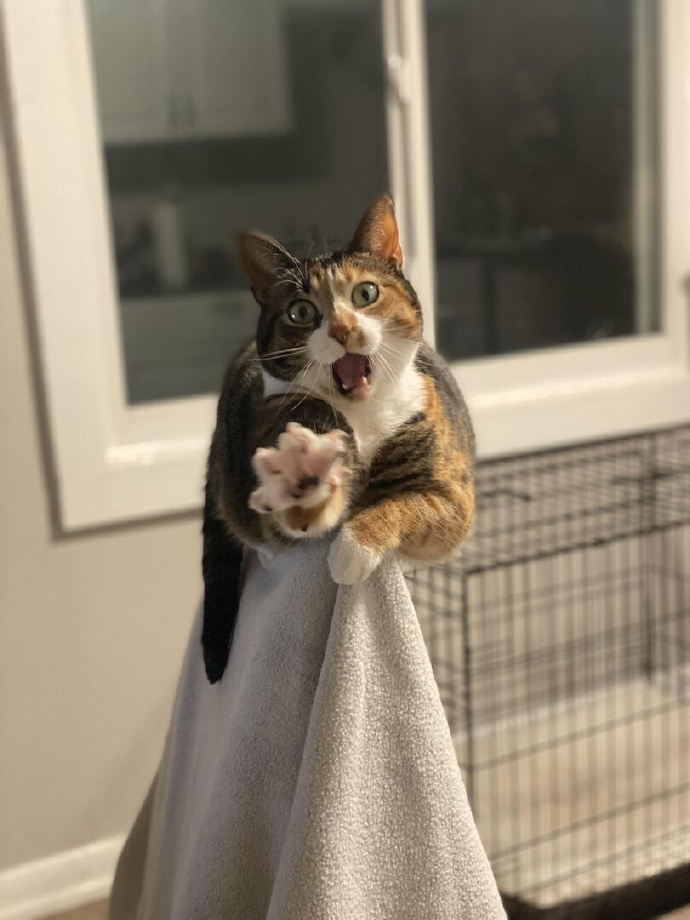 紫薇！你嫑走啊紫薇！