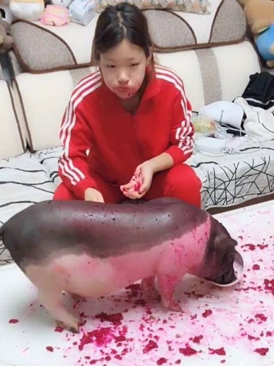 一顿胖揍