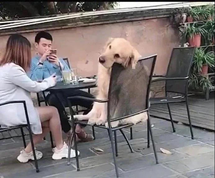 唉,这日子没法过了