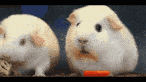 妈，这个相亲对象太能吃了，我这会儿回家害来得及么。。。。