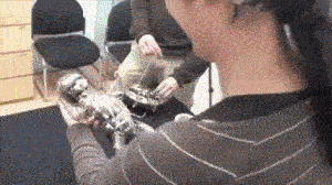 黑科技，婴儿模拟器！