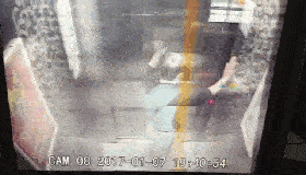 老人被困电梯激动踹门 被救出后暴打维修工