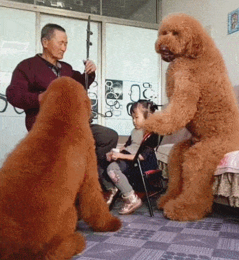 别看这俩只长这么大,但是坐姿还是很优雅的,看孩子也是一把好手!