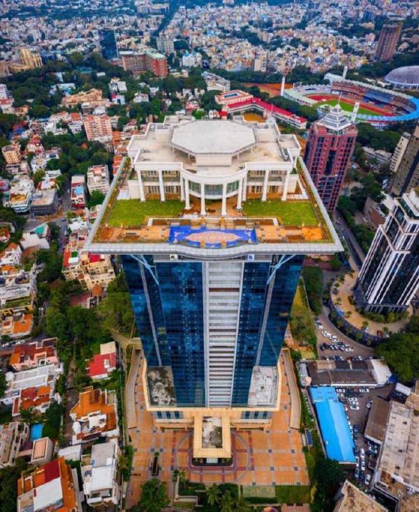 董事长只是喜欢简简单单的农田生活