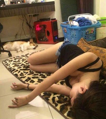 美女和狗