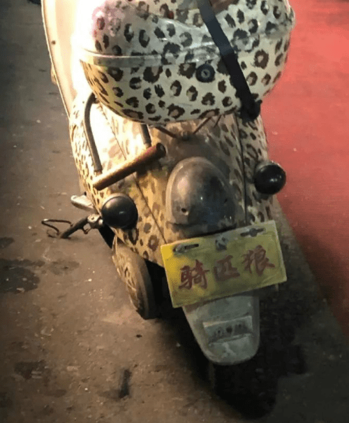 咋还是东北口音呢