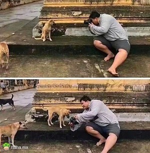 “你看看,拍滴可好?”