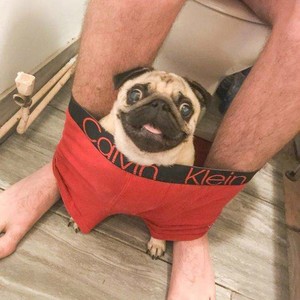 主人,大有看头啊!