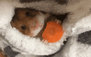 你就说这是不是现在冬天中的你