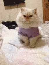 反射弧慢是种怎样的体验，蠢到深处自然萌啊！