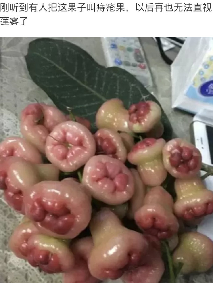 不叫痔疮果,天理难容啊