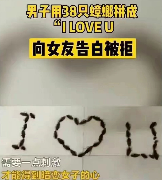 白额高脚蛛女友十分感动