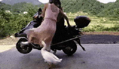 哎呀我操