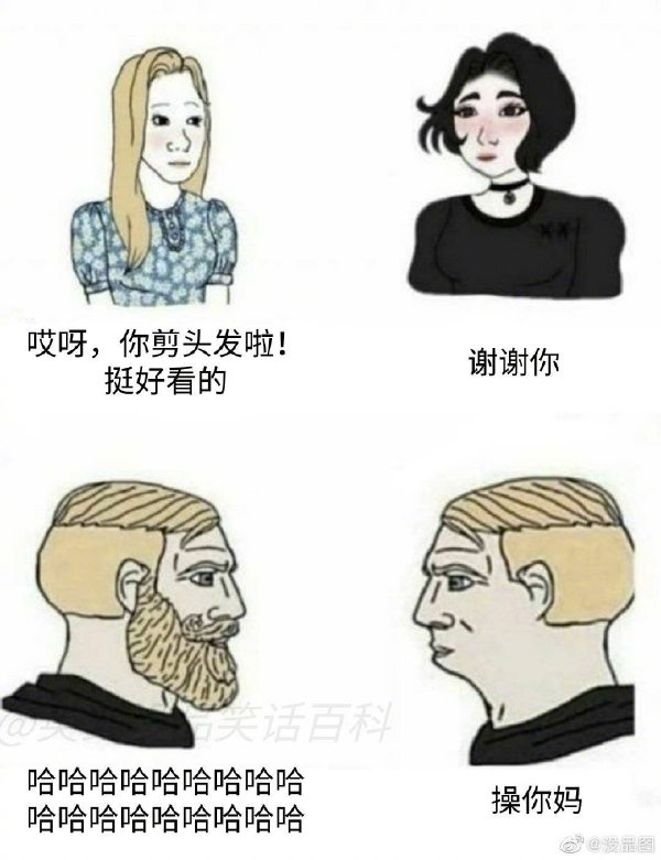 铁哥们VS塑料姐妹