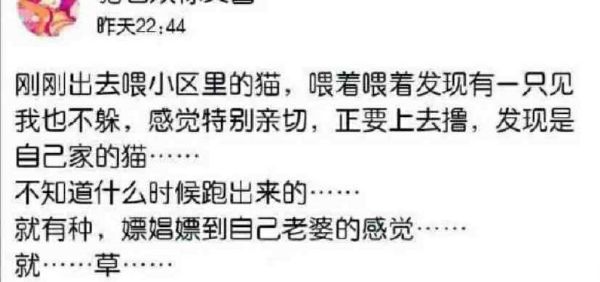 连自己老婆都没认出来?