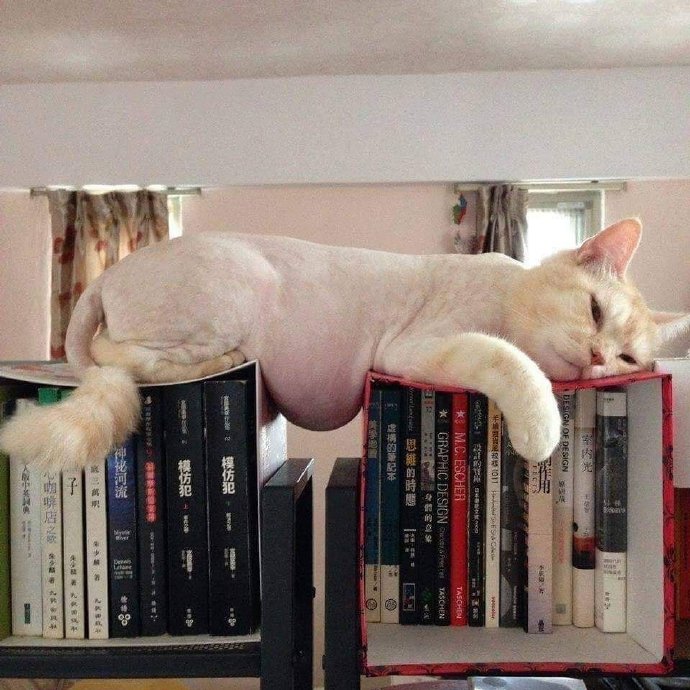 “看什么看,这只是正常的流体现象”