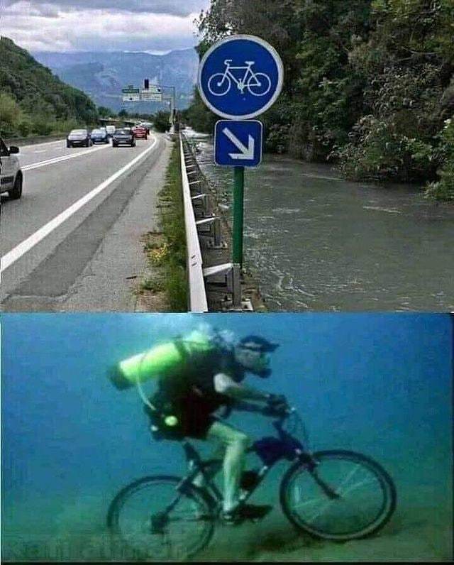 自行车道是这么用的