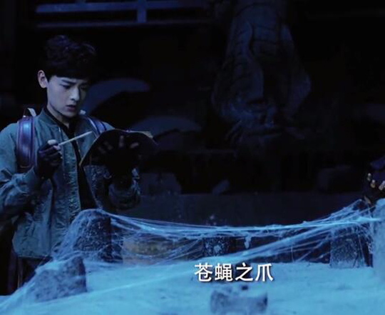 苍鹰之爪？苍蝇之爪？