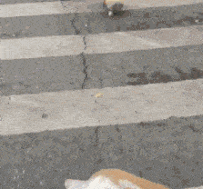 馋了我一路了,你就给我一口吃的吧