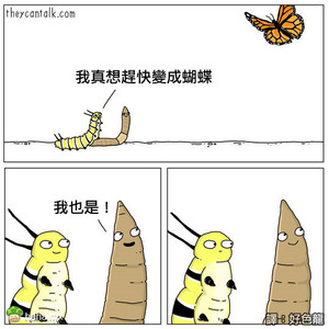 你不得不承认，有些人的梦想是不切实际的