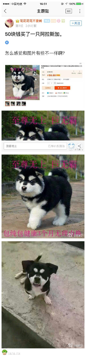 没毛病,只是地包天而已