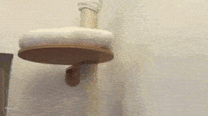 主子心思你别猜。