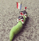 龙骑士