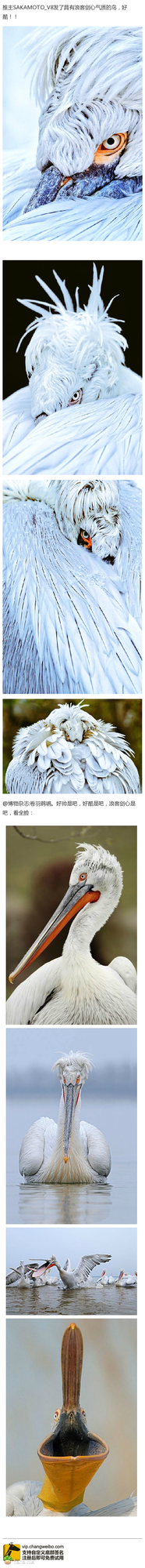 论自拍和他拍的区别!