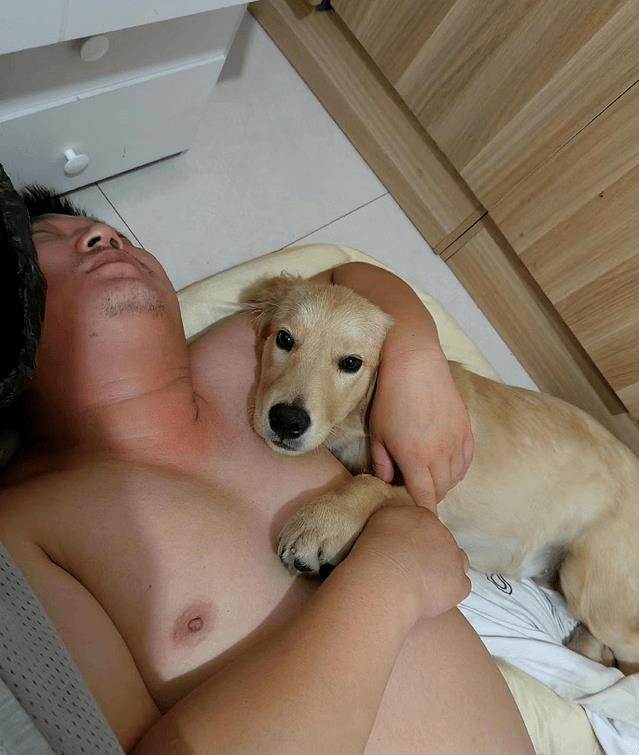 老公喝醉半夜才回家，老婆听到呼噜声出来一看