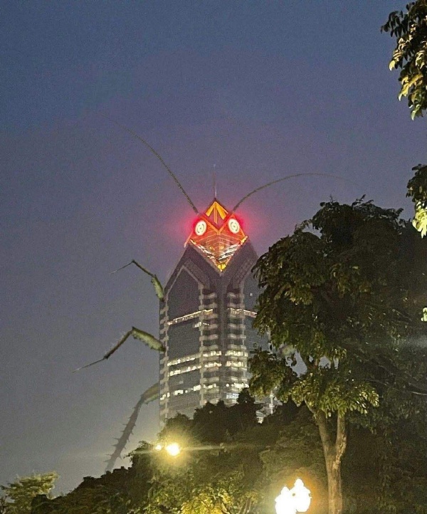 这就是南方的蟑螂吗