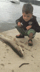 兵不厌诈，孩子还是太年轻了！