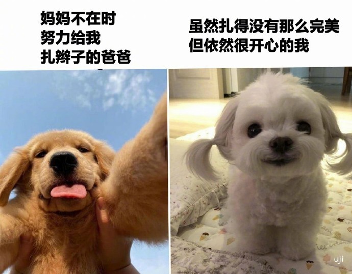 爸爸扎过的辫子也很可爱