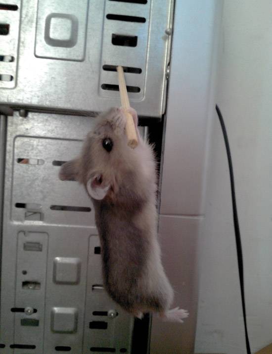 妈呀,谁来救救我