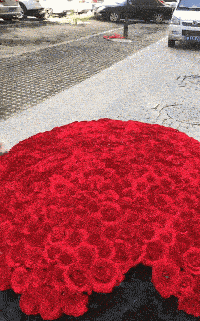 求婚用的红玫瑰很多，场面是很排场，但实用性很低，搬到家里也不容易！