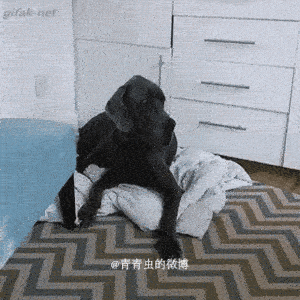 起来滚,这是我的地儿!