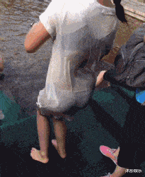 没看我衣服湿透了吗？还拍！”哈哈哈这下好了丢人丢大发了！